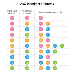 ABO blood group inheritance patterns. Vector illustration.