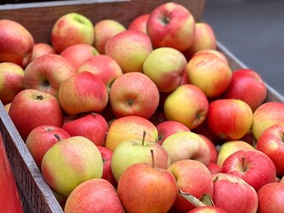 Red apples harvest in a box.