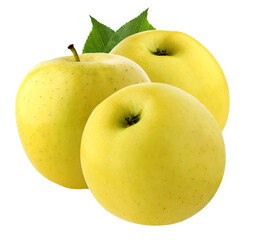 Yellow apples isolated on a white background. A three whole fruits with leaves.
