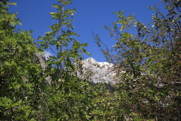 The Mont Blanc