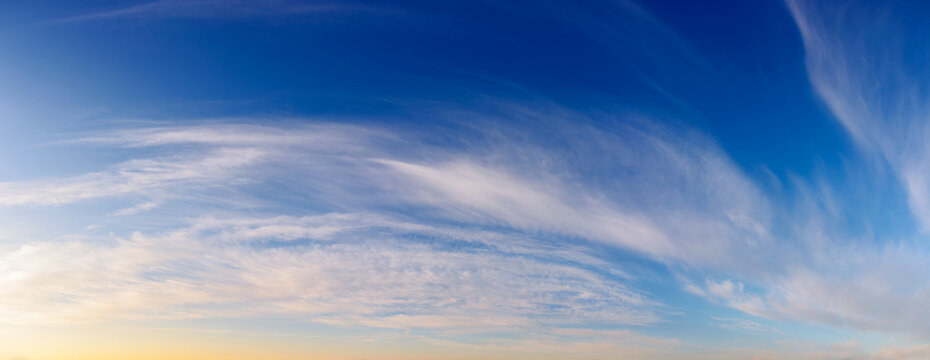 panorama of a blue sky with cirrus clouds at sunrise. beautiful nature background in morning light. good weather forecast