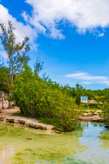 Fototapeta na wymiar Small beautiful Cenote cave with river turquoise blue water Mexico.