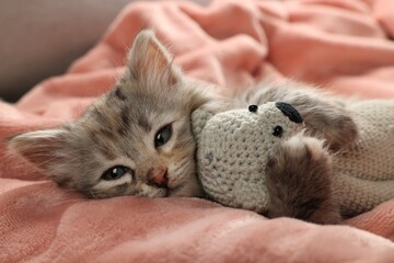 Cute kitten with toy on soft pink blanket