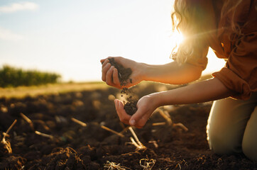 Expert hand of farmer checking soil health before growth a seed of vegetable or plant seedling....