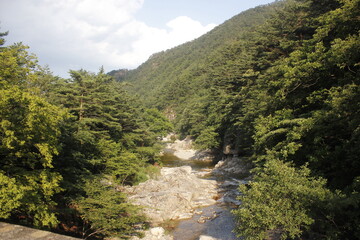 Fototapeta na wymiar 강원도 계곡근처에 위치한 풍경 landscape located nearby stream in Korea