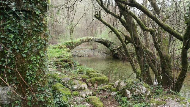Old arch bridge in the forest, made of stone, covered in grass and green moss. Stream of water flowing under troll bridge from a fairy tale in the middle of beautiful park with bare trees and lake.