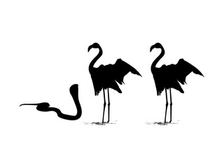 Obraz premium Flamingo and Cobra Silhouette. Art Illustration for Nature and Animal Themes. Vector Illustration