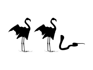Flamingo and Cobra Silhouette. Art Illustration for Nature and Animal Themes. Vector Illustration
