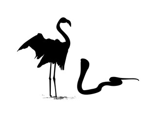 Flamingo and Cobra Silhouette. Art Illustration for Nature and Animal Themes. Vector Illustration