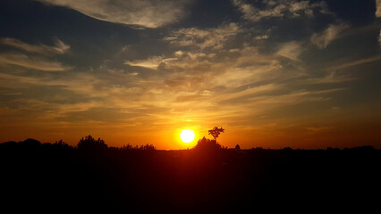silhouette of trees at sunset