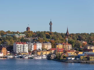 Foto op Canvas Harbor view and towers on the museum island Djurgården a colorful sunny autumn day in Stockholm © Hans Baath