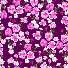 Seamless pattern with pink and white blooming garden carnations and buds on a purple background