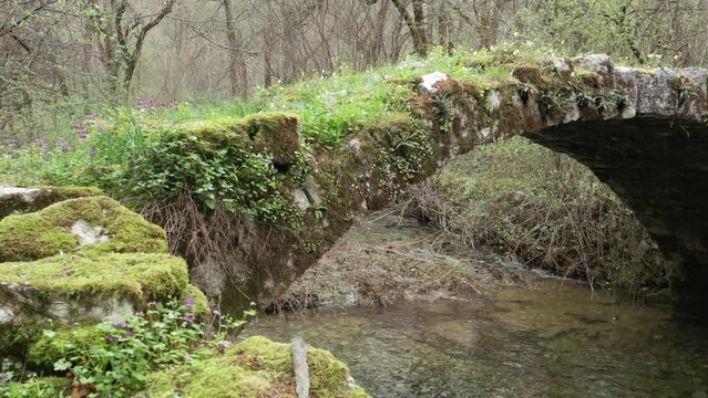 Old arch bridge in the forest, made of stone, covered in grass and green moss. Stream of water flowing under troll bridge from a fairy tale in the middle of beautiful park with bare trees and lake.