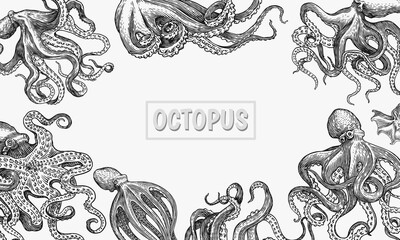 Sea octopus Background. Engraved hand drawn in old sketch, vintage creature. Nautical or marine, monster. Animal in the ocean. Template for logos, labels and emblems. Banner poster template.