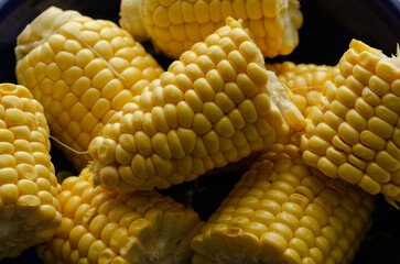 Pieces of corn cob. Corncob cut in pieces.