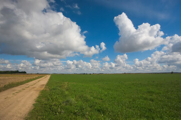 field and blue sky © Klimczak-Krajewska
