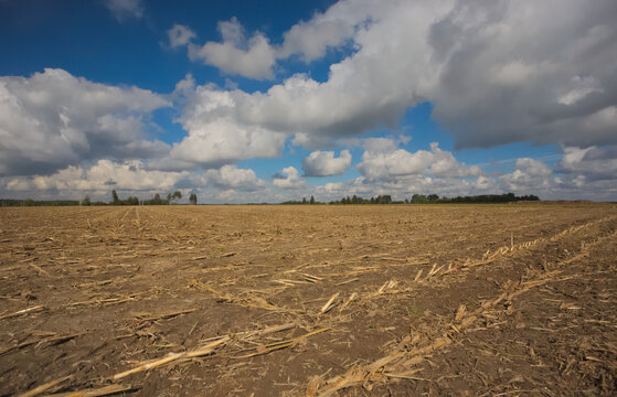 Plowed Field And Sky