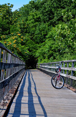 Bicycle on a Bridge over New River