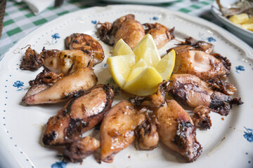 Special Grilled fresh squids