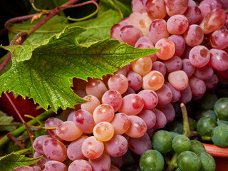 Beautiful still life with different varieties of fruit