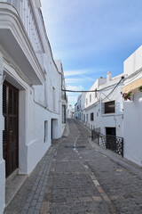 Fototapeta na wymiar Street of the Andalusian white village of Vejer de la Frontera