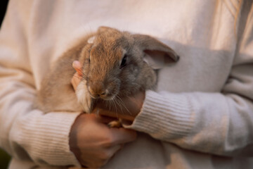 Girl with the rabbit. holding cute fluffy Bunny. Close up