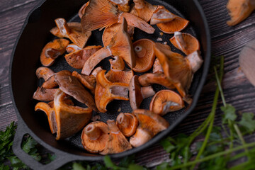Lactarius deliciosus - the most sought-after edible mushrooms.