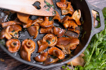 Lactarius deliciosus - the most sought-after edible mushrooms.
