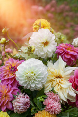 Kompozycja kwiatowa z kwiatów dalii, astrów i hortenji w ogrodzie, bukiet kwiatów, bouquet of flowers