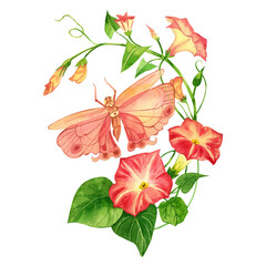A watercolor composition of a pink butterfly and a pink bindweed painted by hand in watercolor on a white background is perfect for printing on fabric, invitations, scrapbooking