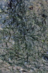 Natural abstraction in the pond.