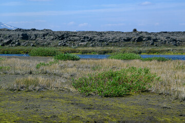 Typische Piste im Hochland von Island. Hier eine Furt auf der F88 auf dem Weg zu Askja.
