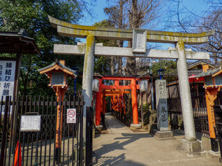 Fototapeta na wymiar torii gate japanese shrine 