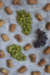Pattern. Flat lay. Bunches of green and blue grapes and wine corks on a light gray background. Top...