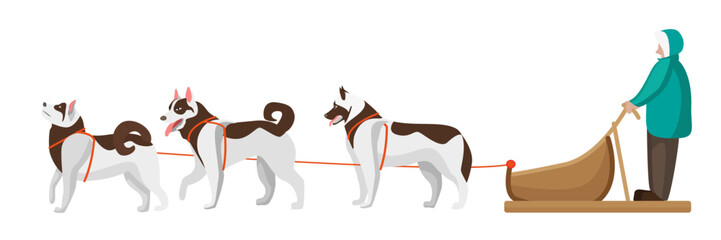 Vector illustration of dog sledding. Cartoon scene with dog sledding in the north by Eskimos. - obrazy, fototapety, plakaty