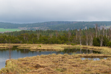 Sumava protected landscape area in the Czech Republic in Europe. Area Chalupska slat - forests, meadows, path to slat.