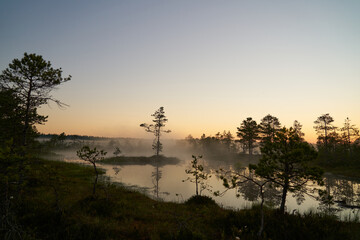 sunrise dawn on the swamp. Reflections of trees in lakes. Sunset, warm light and fog. Viru swamps...