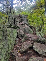 rocks in the forest