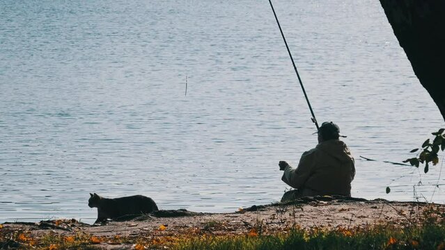 A lone elderly fisherman sitting on the river bank with a fishing rod catches fish. Back view of a fisherman on a sunny autumn day. Calm and peaceful picture. Lifestyle, leisure activity in nature