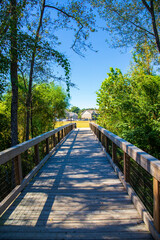 Fototapeta na wymiar a long winding brown wooden bridge over the Sandy Run Creek surrounded by lush green trees and plants with a clear blue sky at The Walk at Sandy Run in Warner Robins Georgia USA
