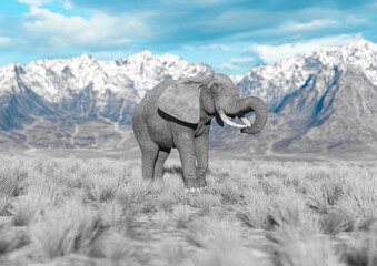 Fototapeta na wymiar african elephant is eating in plains and mountains side view with copy space