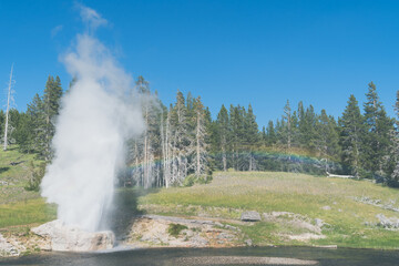 Riverside Geyser in Yellowstone National Park erupts with a full rainbow