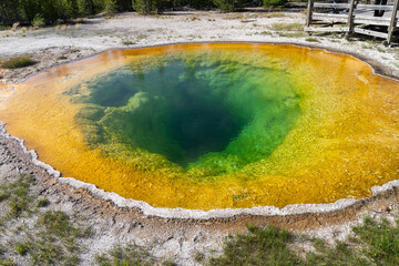 The colorful, famous Morning Glory pool hot spring in Yellowstone National Park USA