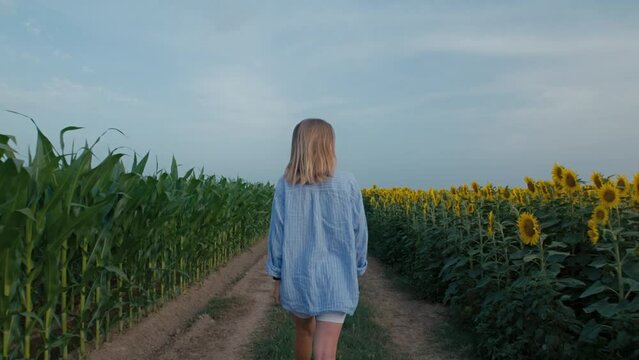young pretty woman walk towards camera in between bright yellow sunflowers in the field. Happy smiling woman free and natural beauty in the nature. Laugh and smile on sunny day