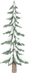 Christmas tree covered with snow illustration