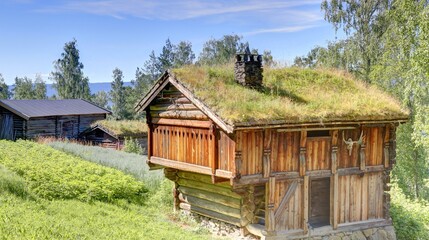 Fototapeta na wymiar vieilles maisons traditionnelles en Norvège, village ancien norvégien