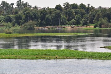 Nil – najdłuższa rzeka świata , zycie na rzece