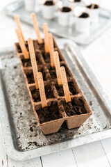 Planting seeds