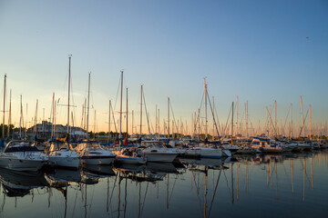 yachts in the harbor