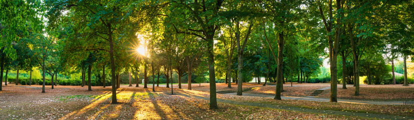 Sunrise panorama at the park with autumn leaves